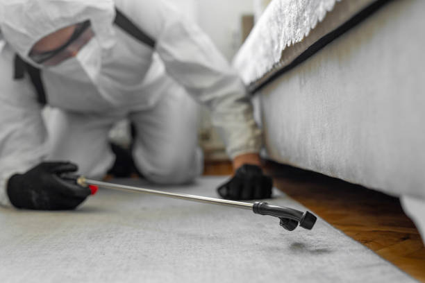 Professional Termite Control technician working in Hillside Lake, NY