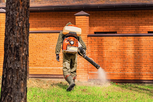 Trusted Emergency Pest Control service in Hillside Lake, NY - Nex Pest Control